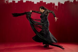 Bailadora de flamenco