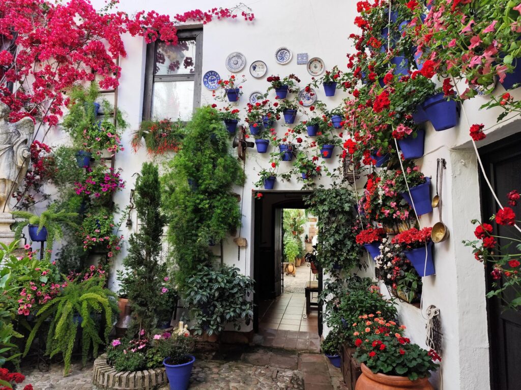 Patio cordobés tradicional con paredes encaladas cubiertas de macetas azules, geranios y buganvillas, típico de la Fiesta de los Patios de Córdoba