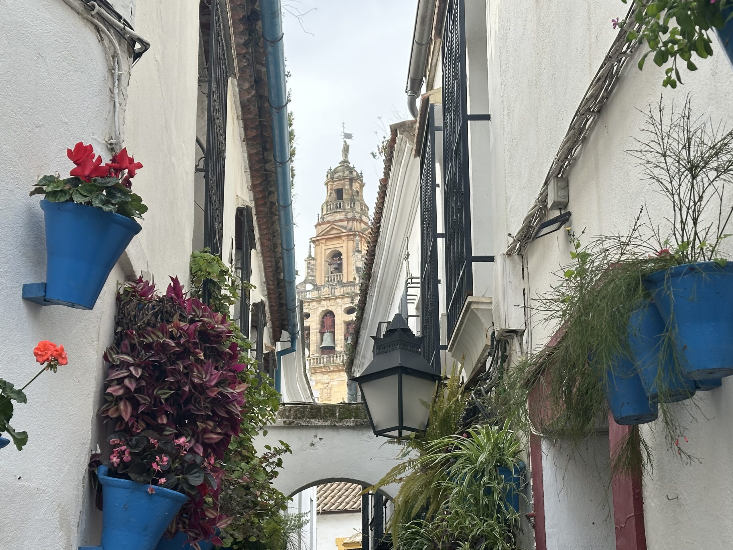 Calleja de las Flores en Córdoba con la Torre Campanario de la Mezquita-Catedral al fondo
