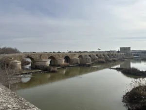 Puente Romano y Calahorra al fondo