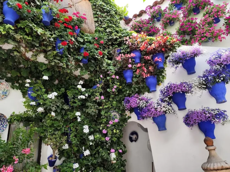 Patio florido típico de Córdoba con macetas azules