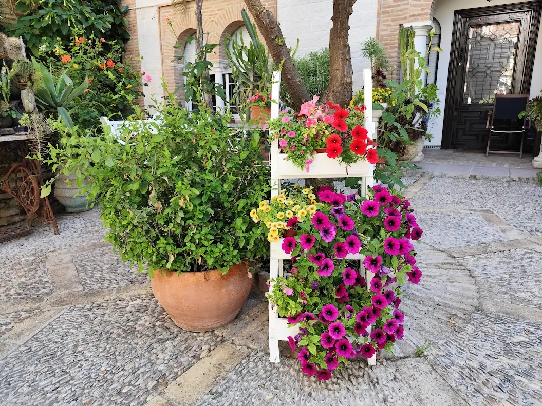 Patio típico cordobés