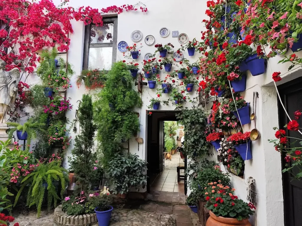 Patio florido típico de Córdoba con buganvilla y macetas azules