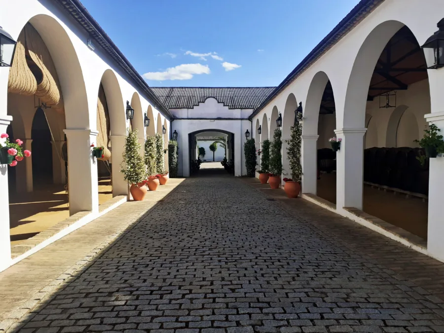Patio empedrado de las Bodegas Alvear en Montilla, con macetas y arcos encalados