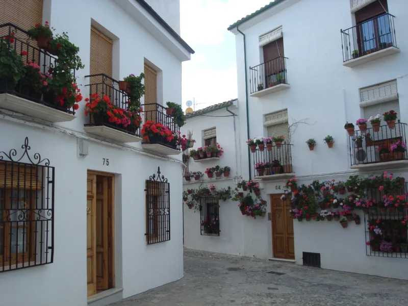 Calle encalada del Barrio de la Villa de Priego de Córdoba, con rejas negras y geranios